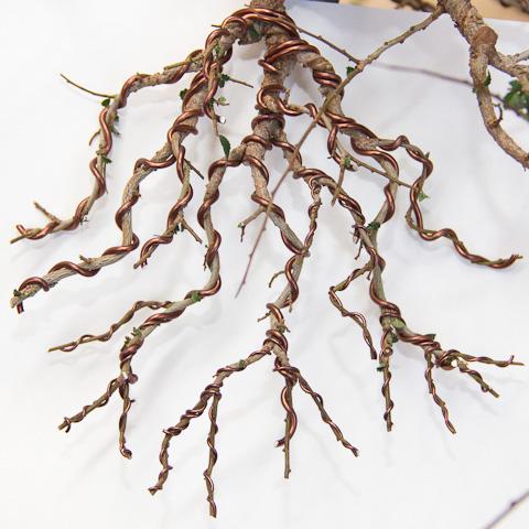 Bonsai Training Wire Set 2.0mm Wire 100 feet Brown color Anodized Aluminum Soft Bonsai Wires - Image 2