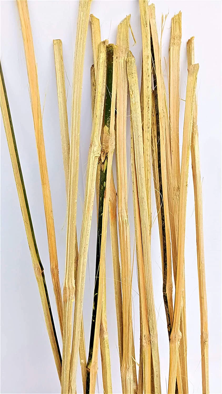 Bamboo Sticks for Plants Support (Set of 20) Sticks Size 3ft Used to Support Climbers Money Plant & Other Saplings - Image 3