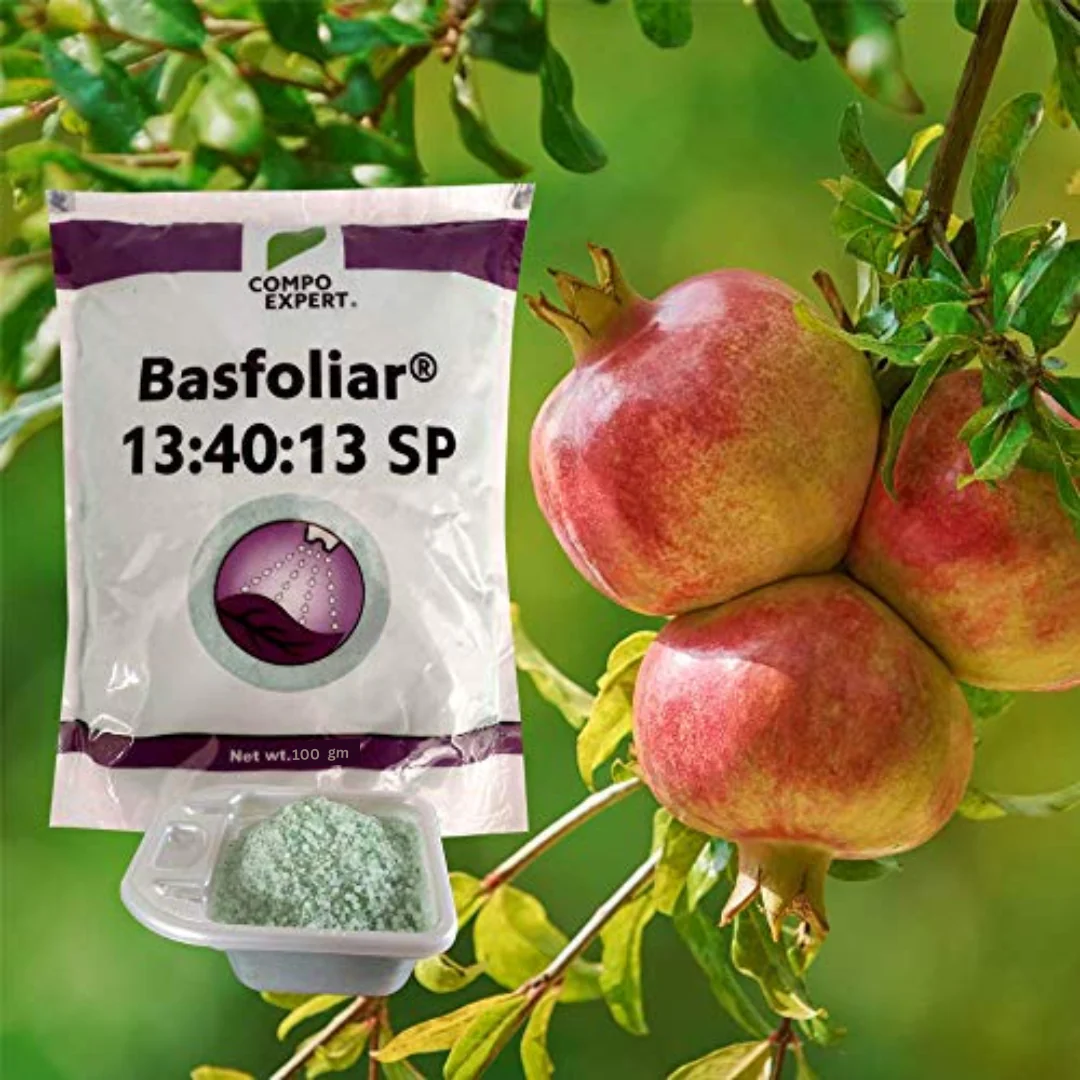 Basfoliar 13:40:13 NPK For Home Garden & Plants-The Ultimate Plant Nutrition Solution (100 gm) - Image 3