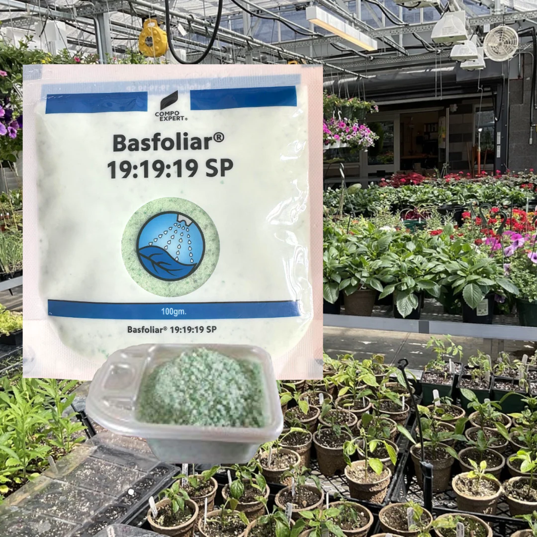 Basfoliar 19:19:19 For Home Garden & Plants Elevate Your Plant's Growth to New Heights (100gm) - Image 3