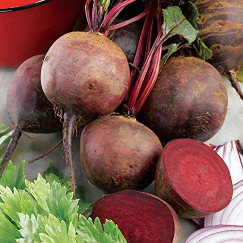 Beetroot Seeds - Image 2