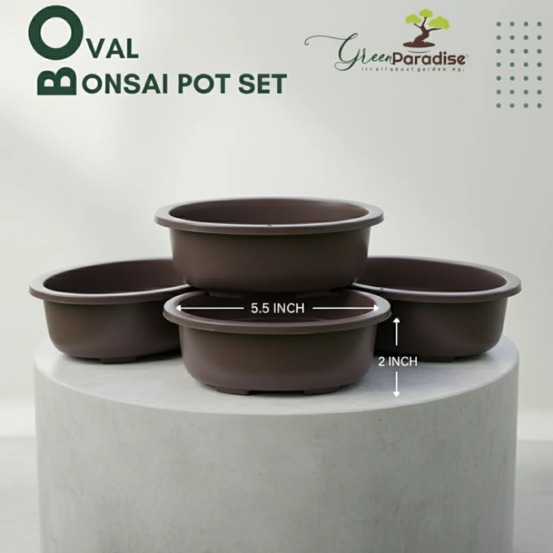Green Paradise® Oval Bonsai Pot( Set of 5 ) | 5.5 Inch Plastic Bonsai Training Pots | Purple Clay Color Small Planters for Indoor & Outdoor Plants