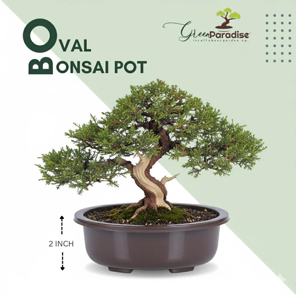 Green Paradise® Oval Bonsai Pot( Set of 5 ) | 5.5 Inch Plastic Bonsai Training Pots | Purple Clay Color Small Planters for Indoor & Outdoor Plants - Image 2