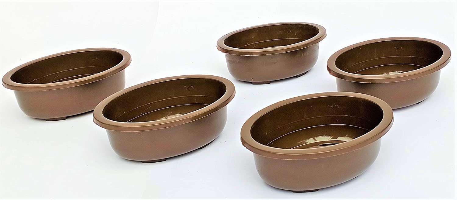 Green Paradise® Oval Bonsai Pot( Set of 5 ) | 5.5 Inch Plastic Bonsai Training Pots | Purple Clay Color Small Planters for Indoor & Outdoor Plants - Image 6