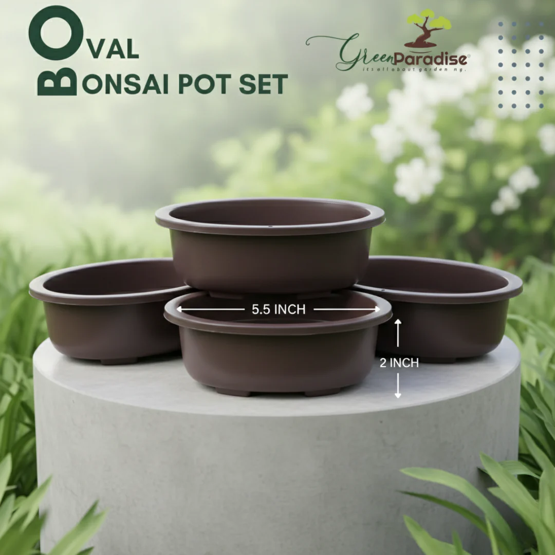 Green Paradise® Oval Bonsai Pot( Set of 5 ) | 5.5 Inch Plastic Bonsai Training Pots | Purple Clay Color Small Planters for Indoor & Outdoor Plants - Image 8