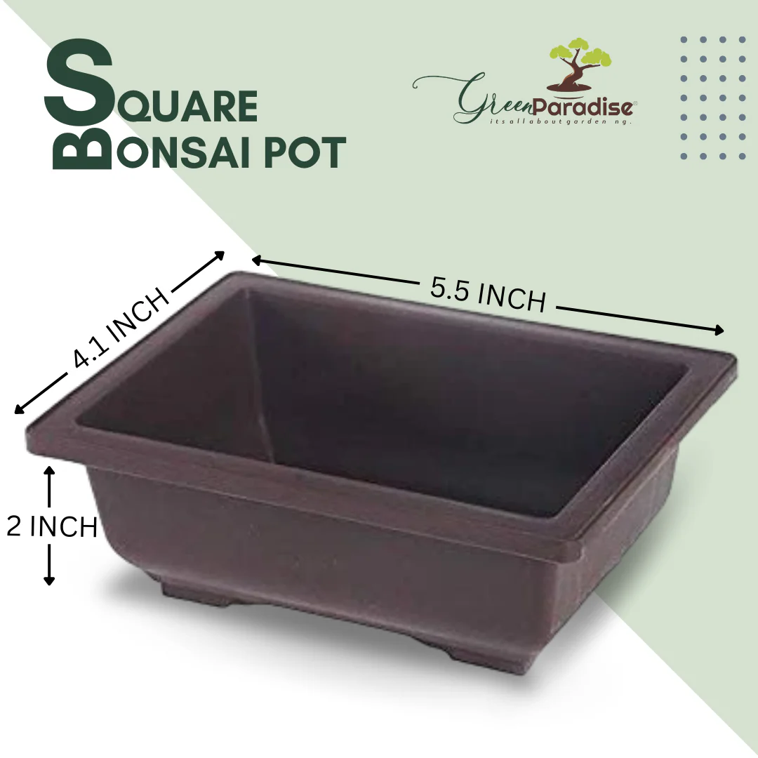 Green Paradise® Bonsai Training Pots Rectangle 14 cm (Brown) plastic bonsai pots Ideal for Mame And Shohin Bonsai Training - Image 2