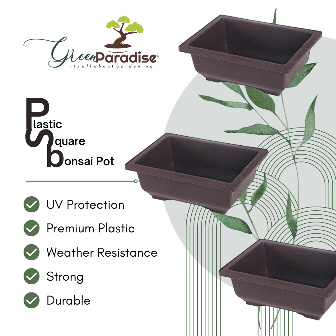 Green Paradise® Bonsai Training Pots Rectangle 14 cm (Brown) plastic bonsai pots Ideal for Mame And Shohin Bonsai Training - Image 3