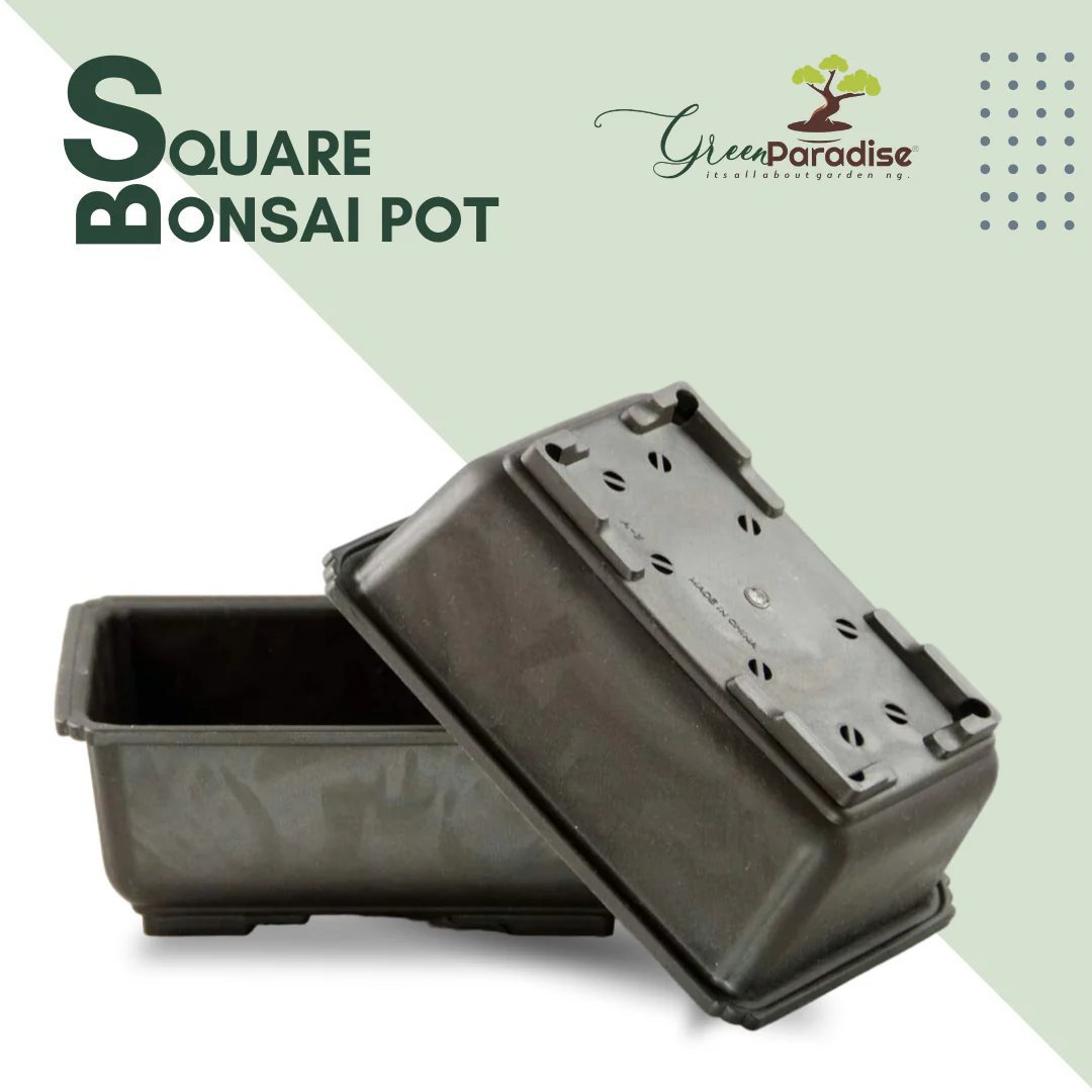 Green Paradise® Bonsai Training Pots Rectangle 14 cm (Brown) plastic bonsai pots Ideal for Mame And Shohin Bonsai Training - Image 4