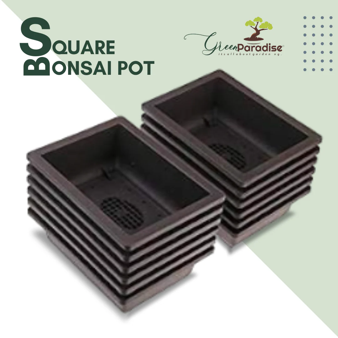 Green Paradise® Bonsai Training Pots Rectangle 14 cm (Brown) plastic bonsai pots Ideal for Mame And Shohin Bonsai Training - Image 6