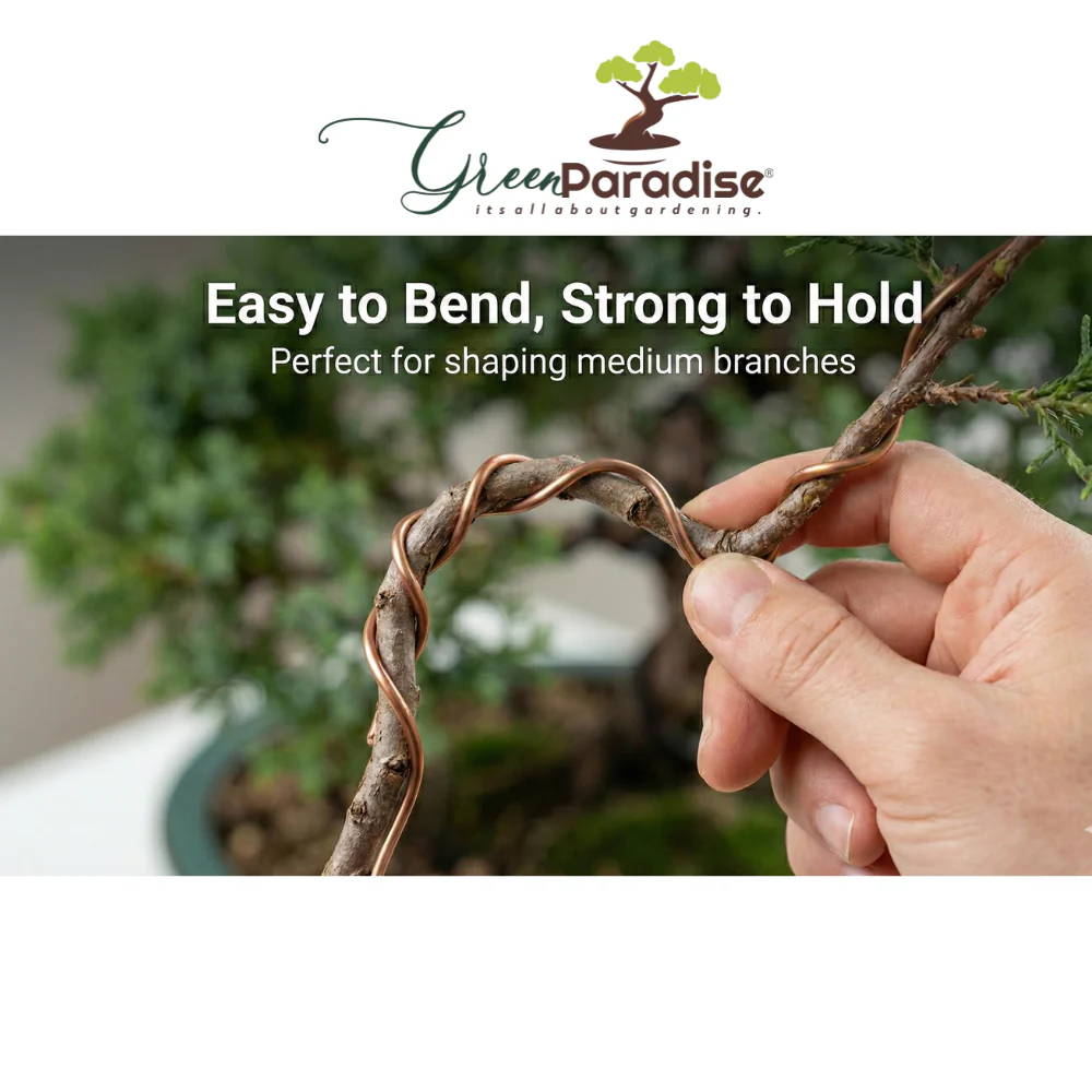 Bonsai Training Wires 2.0 mm Aluminum Wires Set Copper Color) - Image 5