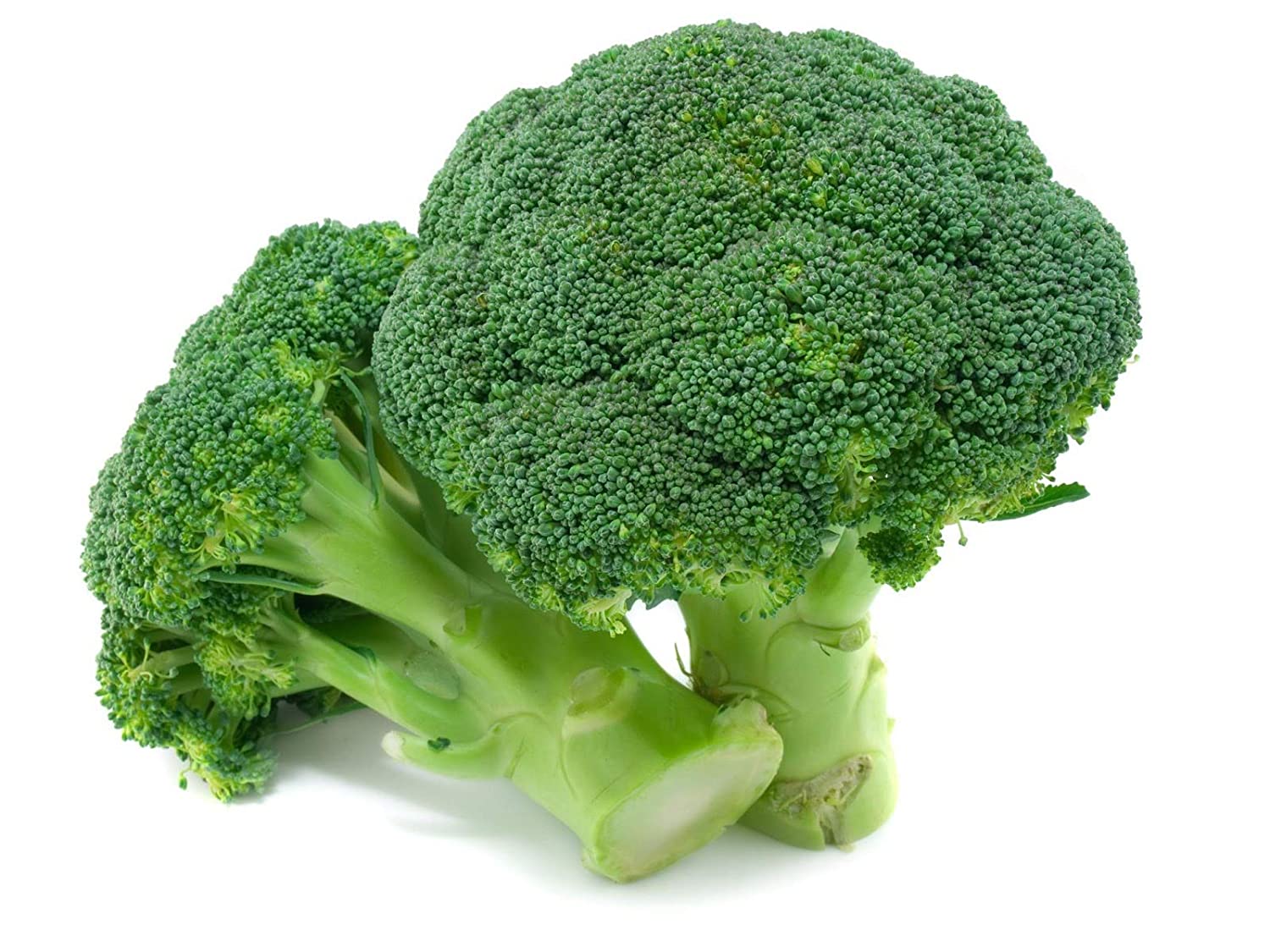 Green Paradise® Broccoli Seeds - Image 2