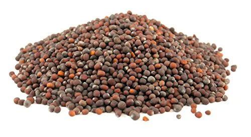 Green Paradise® Broccoli Seeds - Image 3