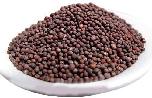 Green Paradise® Cabbage Seeds - Image 3