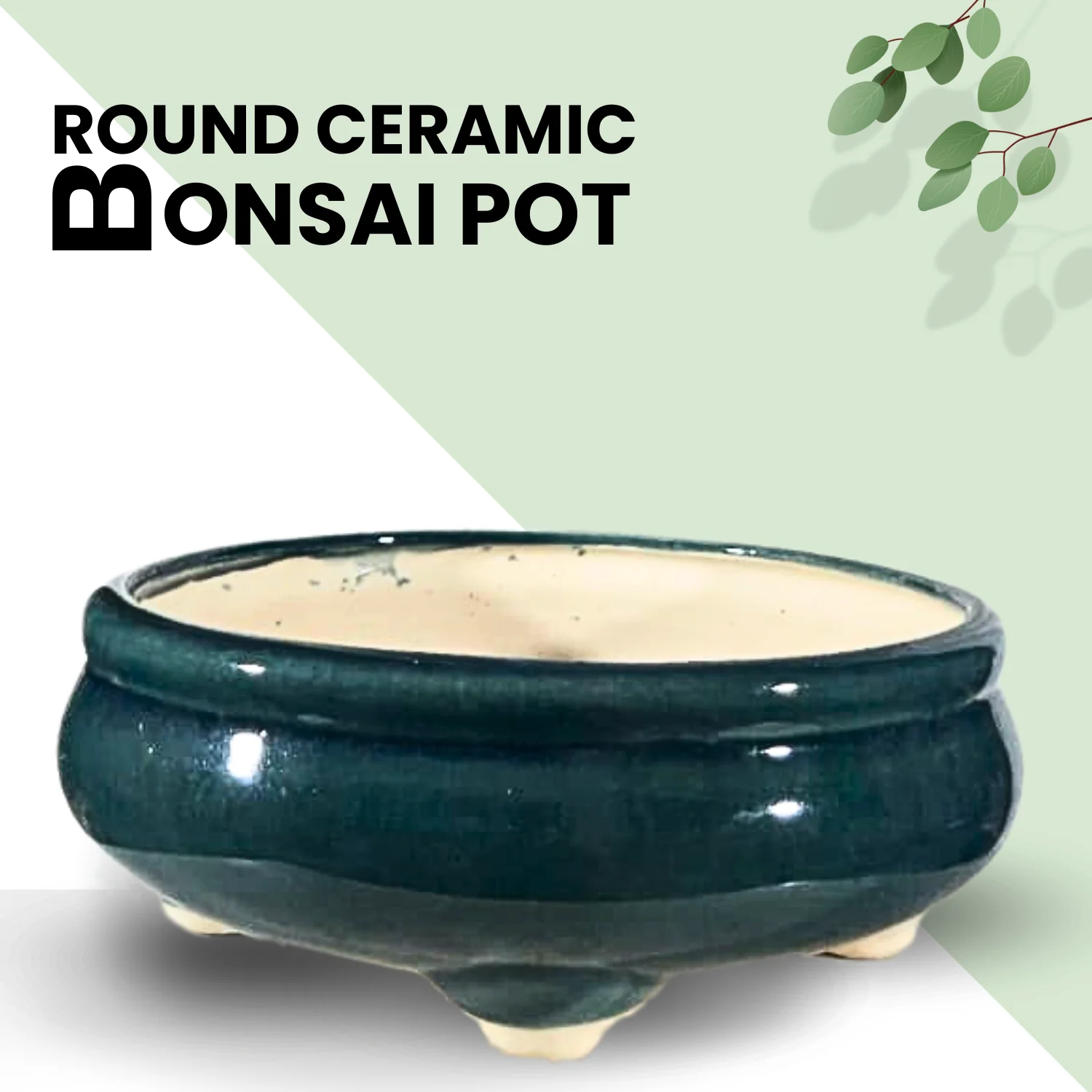 Green Paradise® Round Glossy Ceramic Pot for Bonsai Trees - Image 3