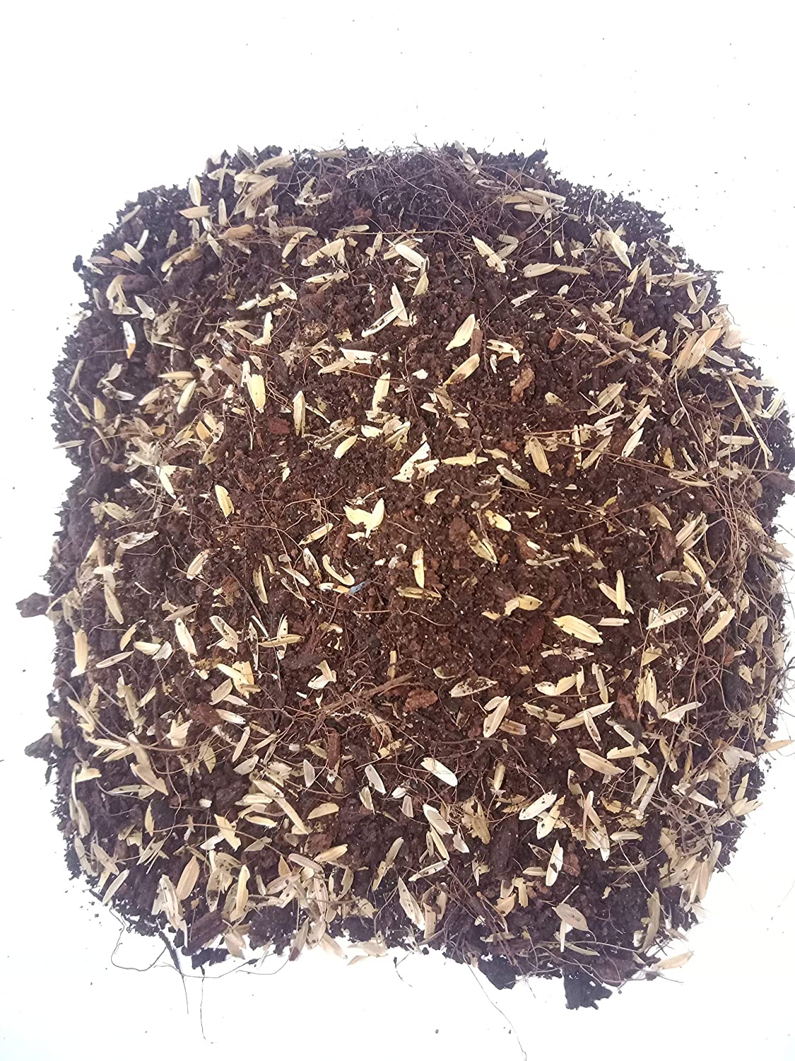 Coco Peat mix With Rice Hulls Media ( pack of 3 kg ) - Image 3