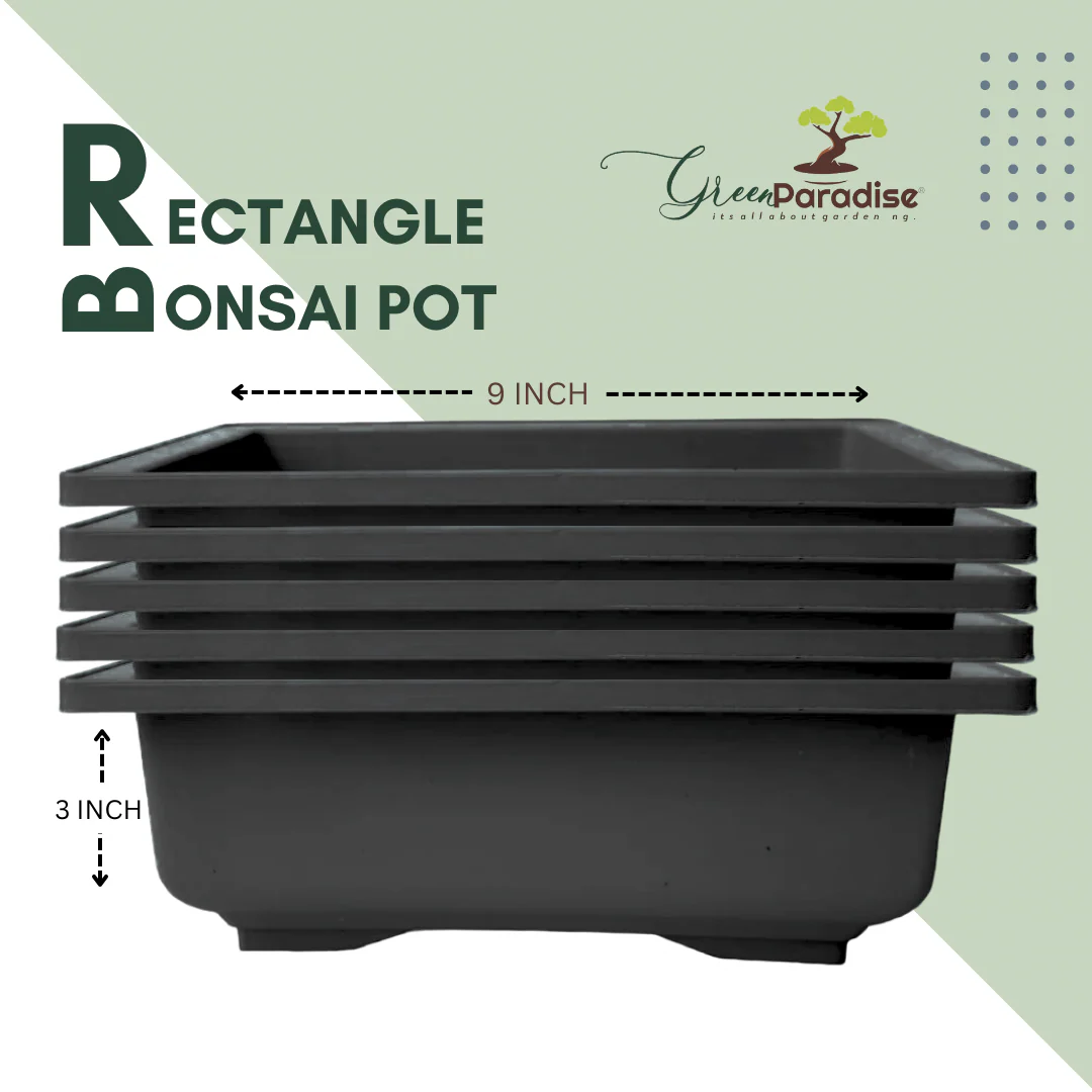 GREEN PARADISE® Rectangle Bonsai Plastic Pot Premium Quality Lightweight Pot for Indoor and Outdoor Bonsai Trees - Image 10
