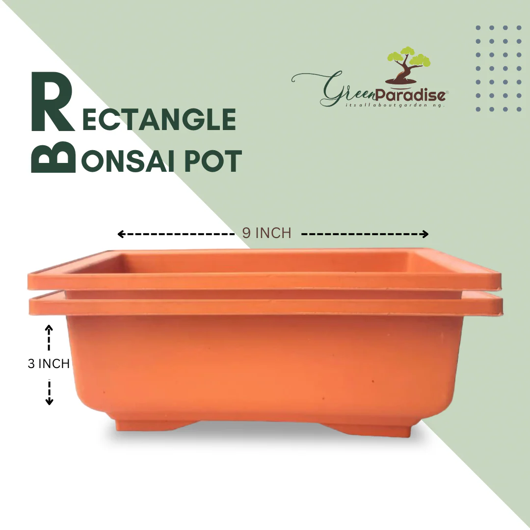 GREEN PARADISE® Rectangle Bonsai Plastic Pot Premium Quality Lightweight Pot for Indoor and Outdoor Bonsai Trees - Image 12