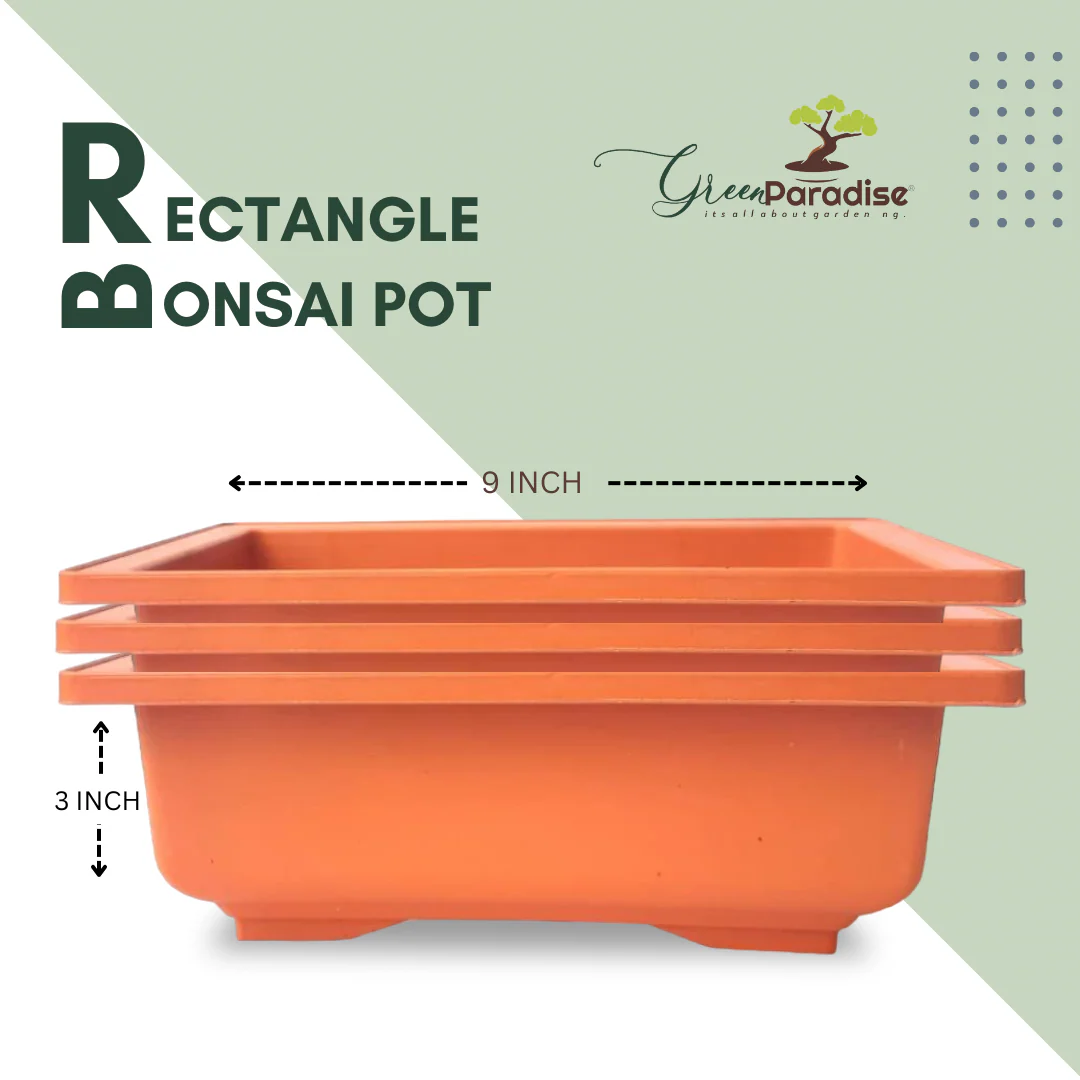 GREEN PARADISE® Rectangle Bonsai Plastic Pot Premium Quality Lightweight Pot for Indoor and Outdoor Bonsai Trees - Image 13