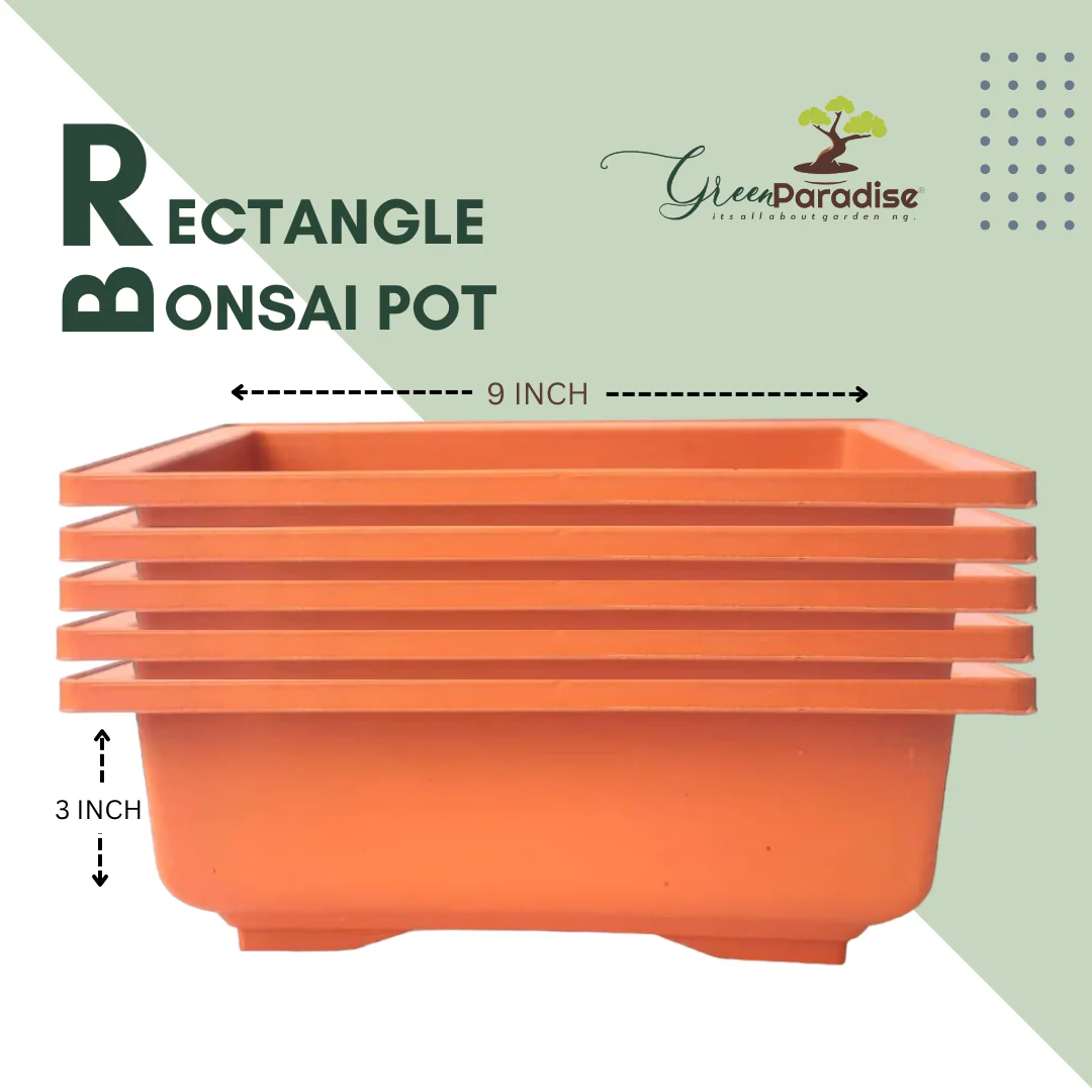 GREEN PARADISE® Rectangle Bonsai Plastic Pot Premium Quality Lightweight Pot for Indoor and Outdoor Bonsai Trees - Image 14