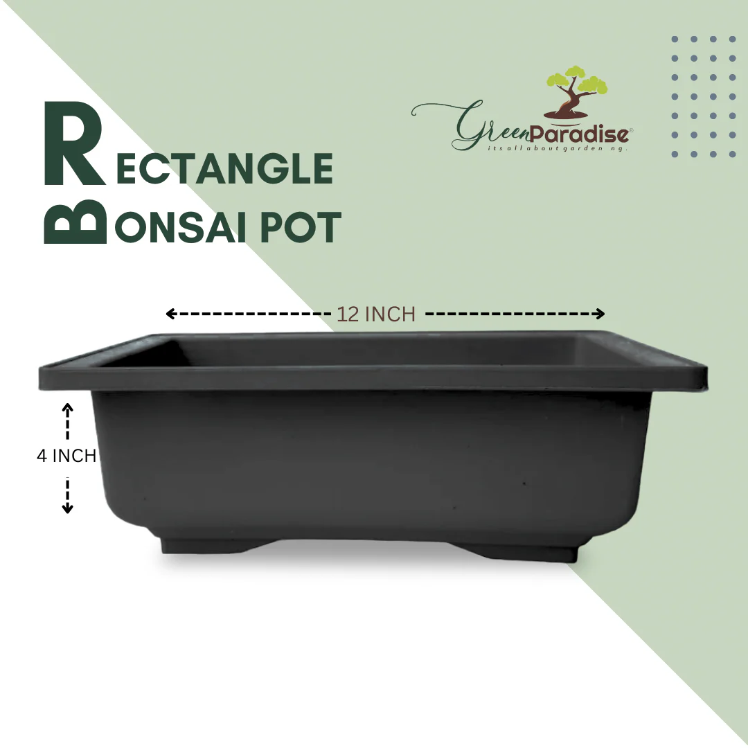 GREEN PARADISE® Rectangle Bonsai Plastic Pot Premium Quality Lightweight Pot for Indoor and Outdoor Bonsai Trees - Image 15
