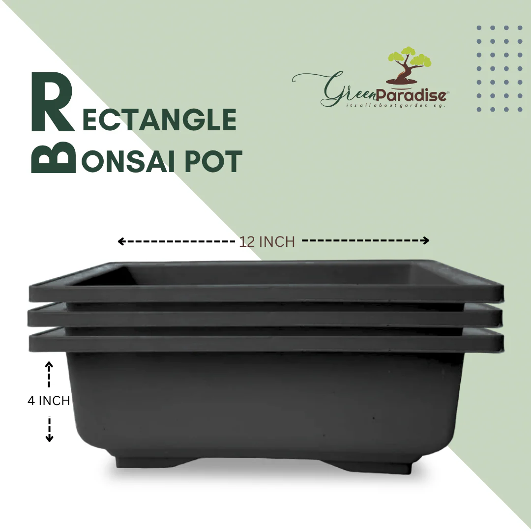GREEN PARADISE® Rectangle Bonsai Plastic Pot Premium Quality Lightweight Pot for Indoor and Outdoor Bonsai Trees - Image 17