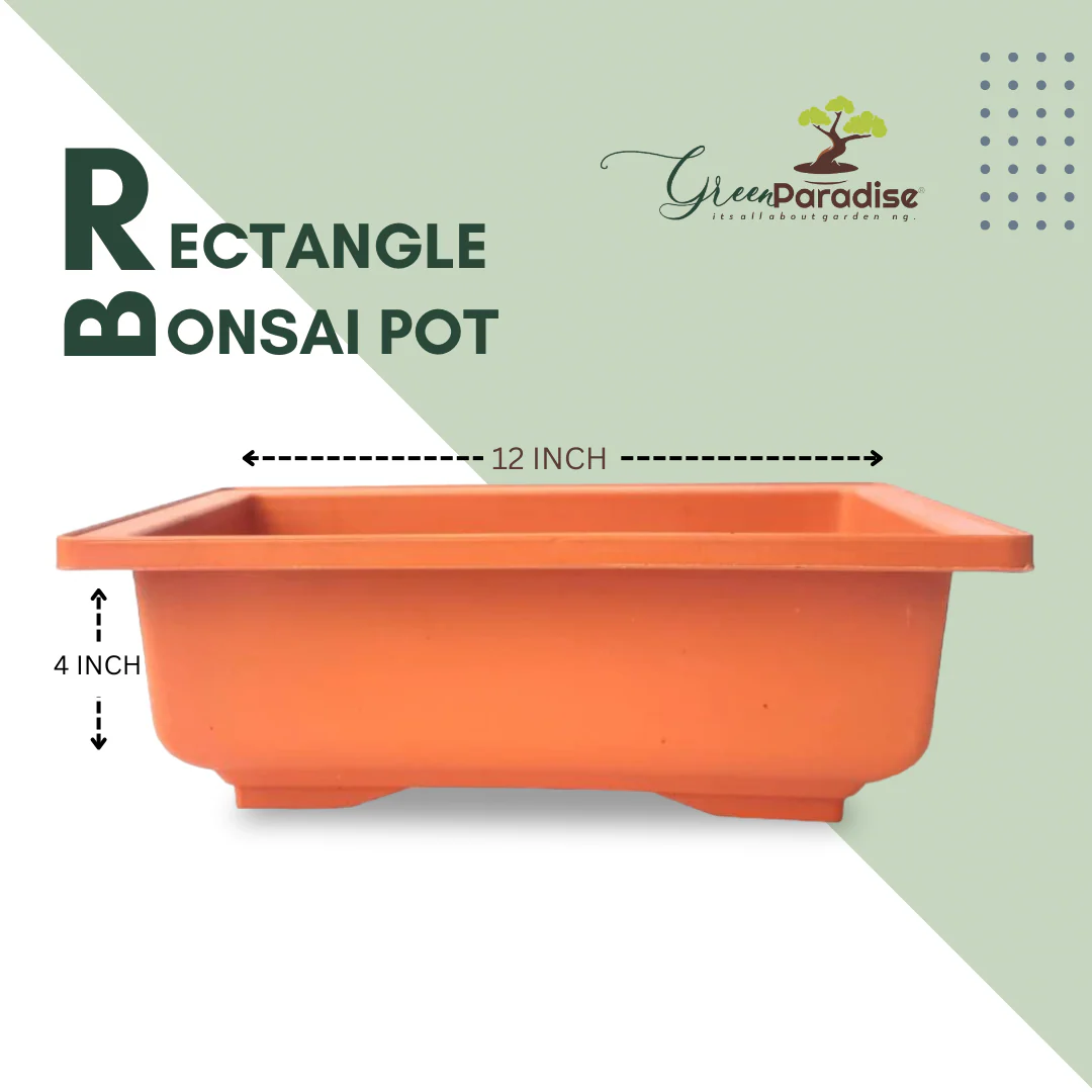 GREEN PARADISE® Rectangle Bonsai Plastic Pot Premium Quality Lightweight Pot for Indoor and Outdoor Bonsai Trees - Image 19