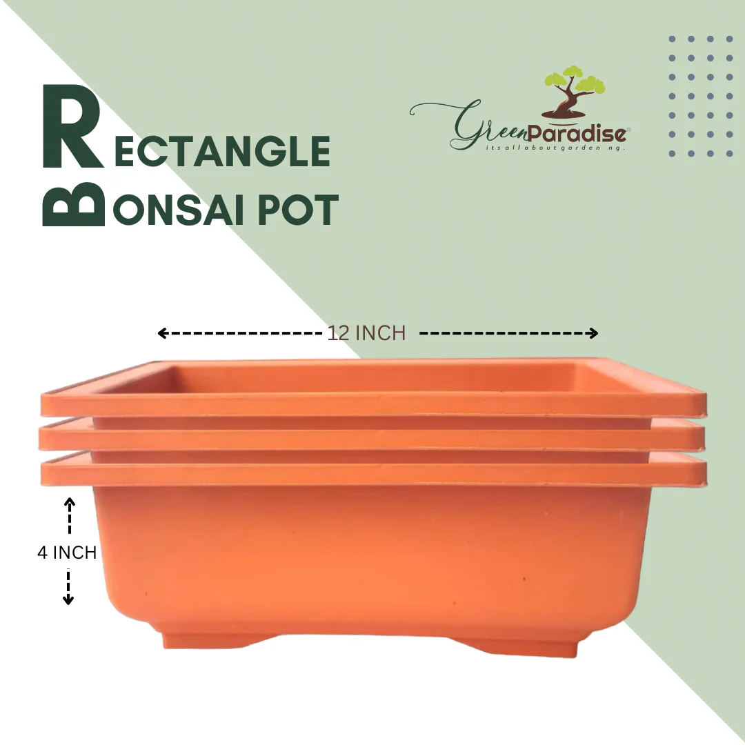 GREEN PARADISE® Rectangle Bonsai Plastic Pot Premium Quality Lightweight Pot for Indoor and Outdoor Bonsai Trees - Image 21