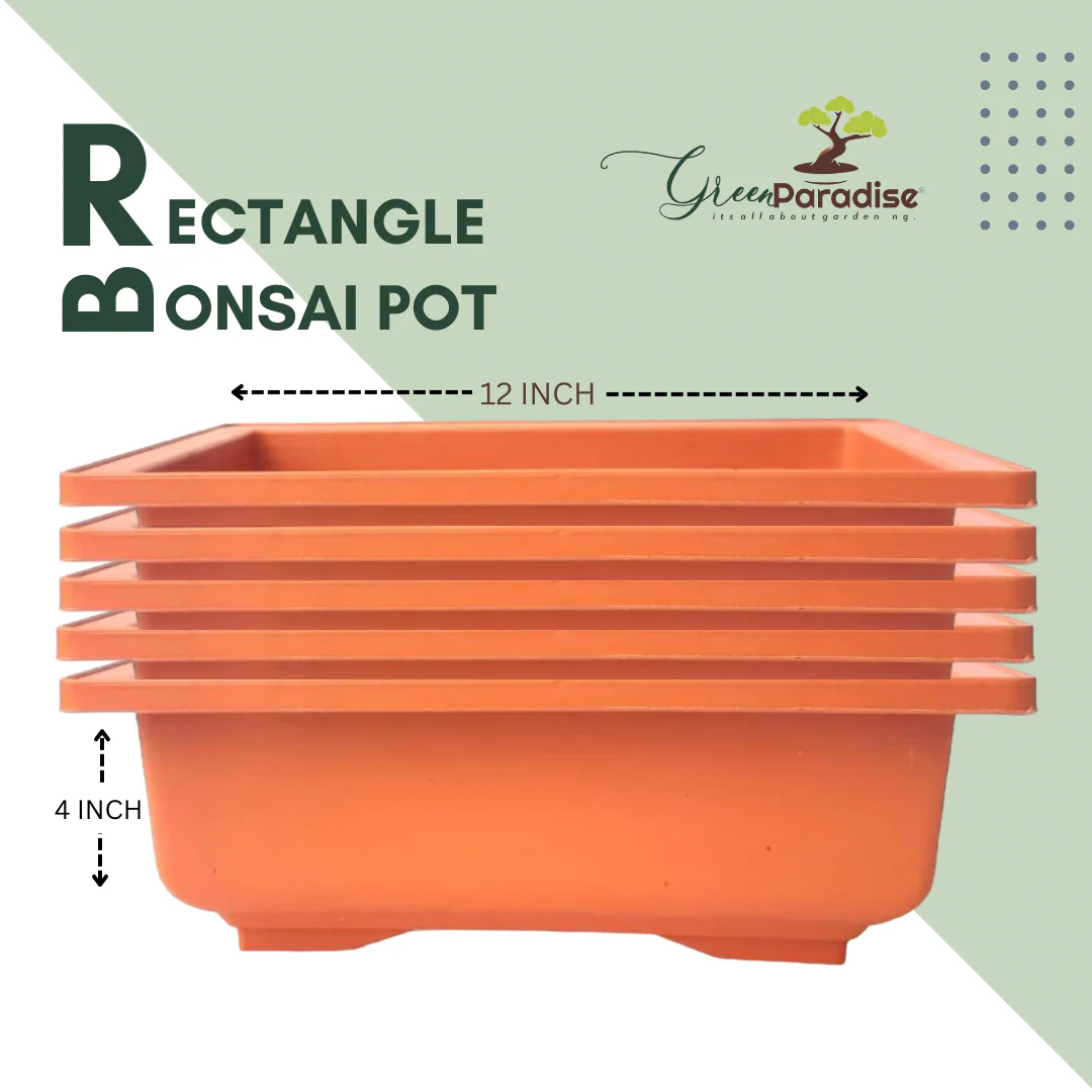 GREEN PARADISE® Rectangle Bonsai Plastic Pot Premium Quality Lightweight Pot for Indoor and Outdoor Bonsai Trees - Image 22