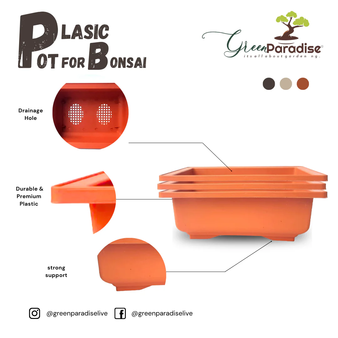 GREEN PARADISE® Rectangle Bonsai Plastic Pot Premium Quality Lightweight Pot for Indoor and Outdoor Bonsai Trees - Image 3