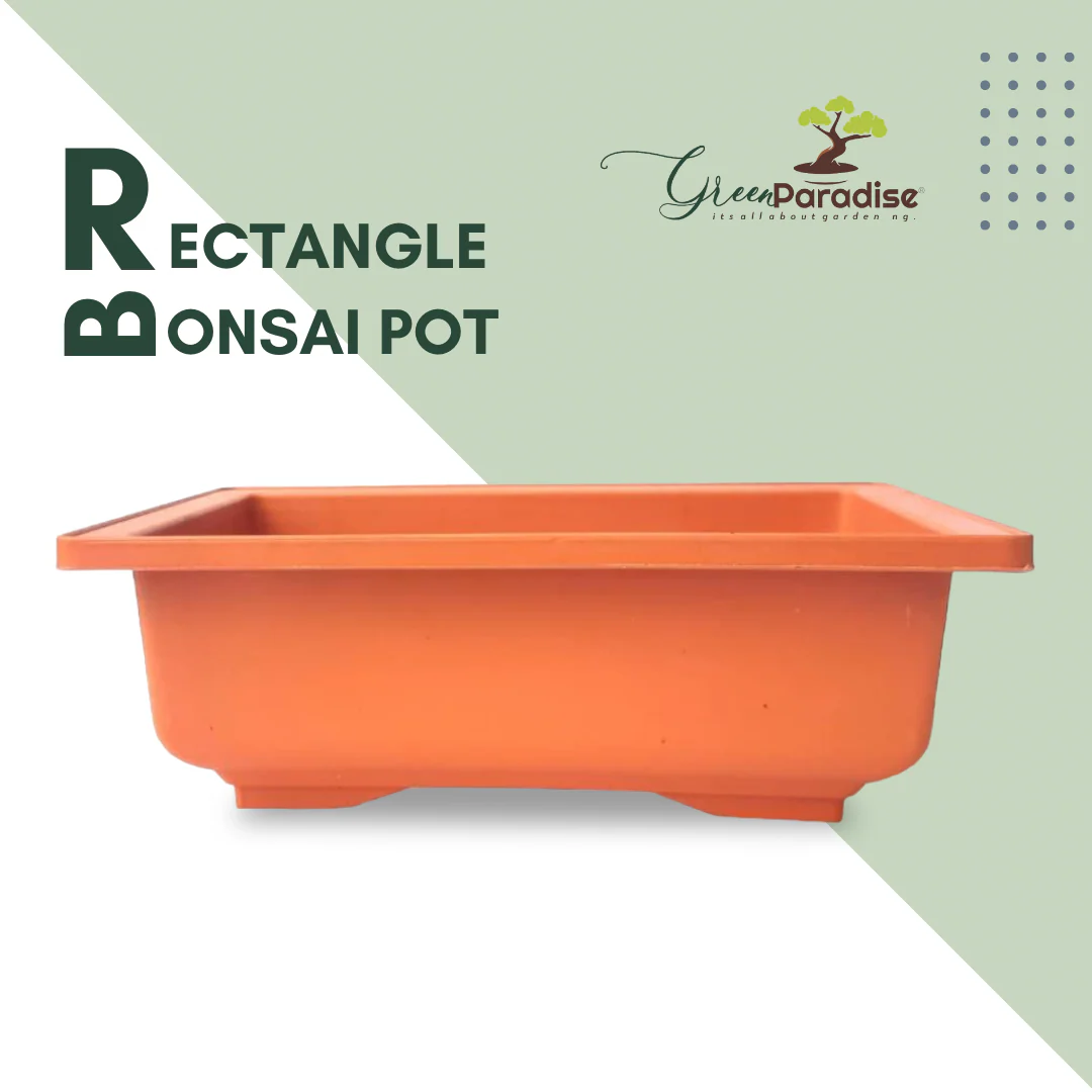 GREEN PARADISE® Rectangle Bonsai Plastic Pot Premium Quality Lightweight Pot for Indoor and Outdoor Bonsai Trees - Image 6