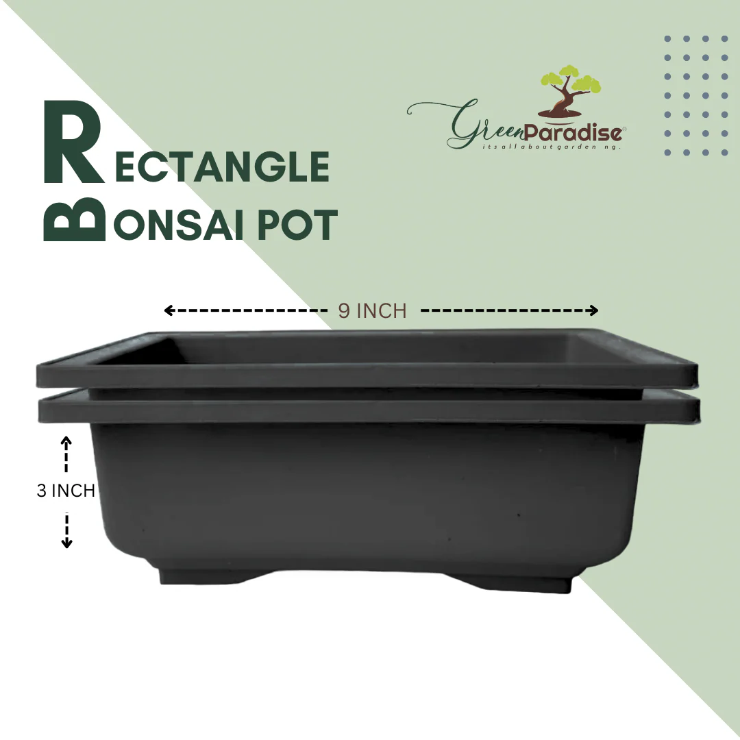 GREEN PARADISE® Rectangle Bonsai Plastic Pot Premium Quality Lightweight Pot for Indoor and Outdoor Bonsai Trees - Image 8