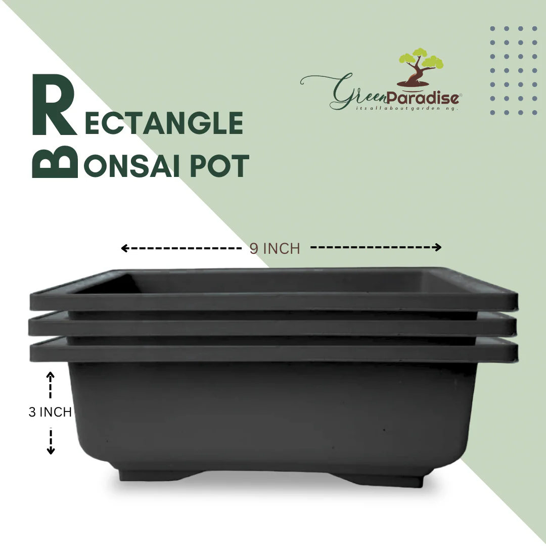 GREEN PARADISE® Rectangle Bonsai Plastic Pot Premium Quality Lightweight Pot for Indoor and Outdoor Bonsai Trees - Image 9