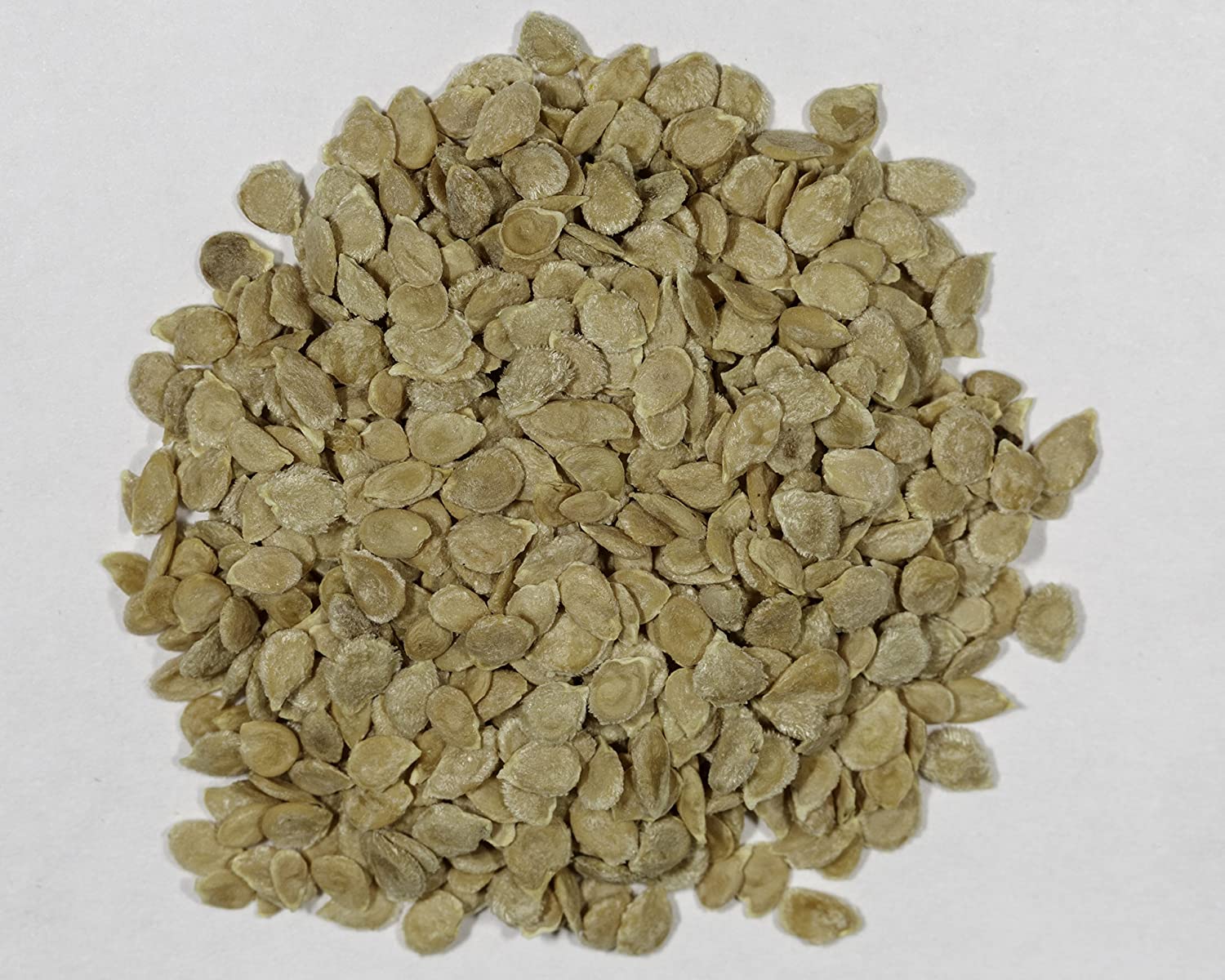 Green Paradise® Red Cherry Tomato Seeds - Image 2