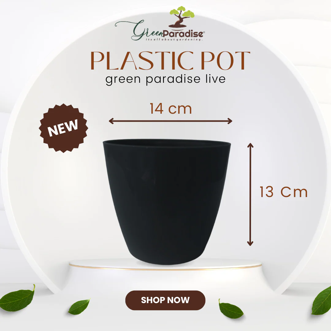 Green Paradise® Premium Glossy Plastic Pots ( set of 3 ) - Image 16