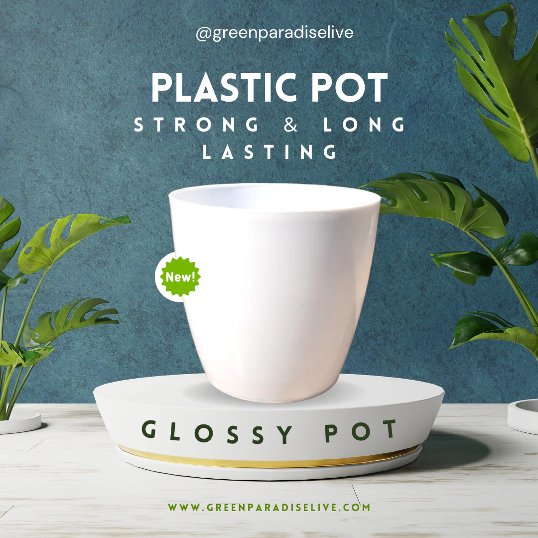 Green Paradise® Premium Glossy Plastic Pots ( set of 3 ) - Image 2