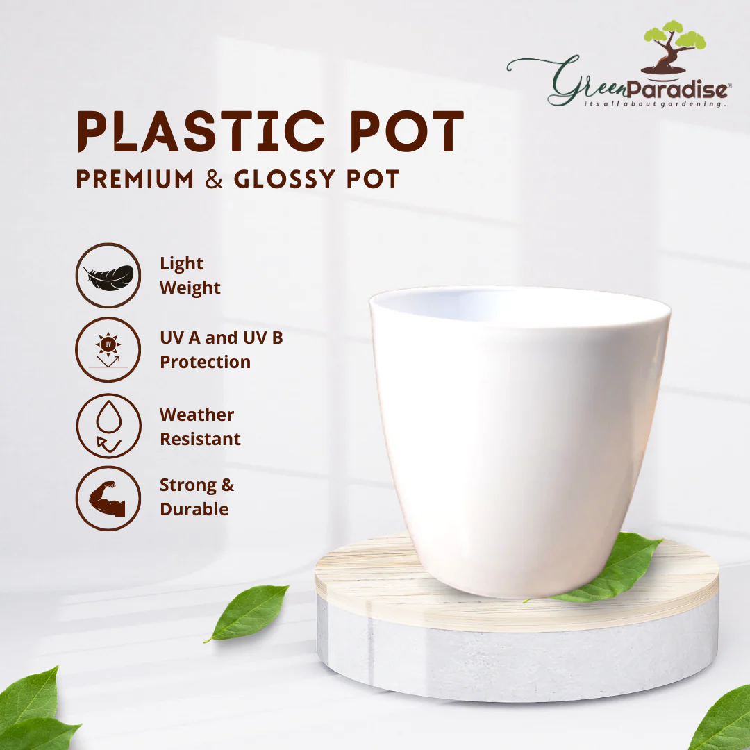 Green Paradise® Premium Glossy Plastic Pots ( set of 3 ) - Image 3