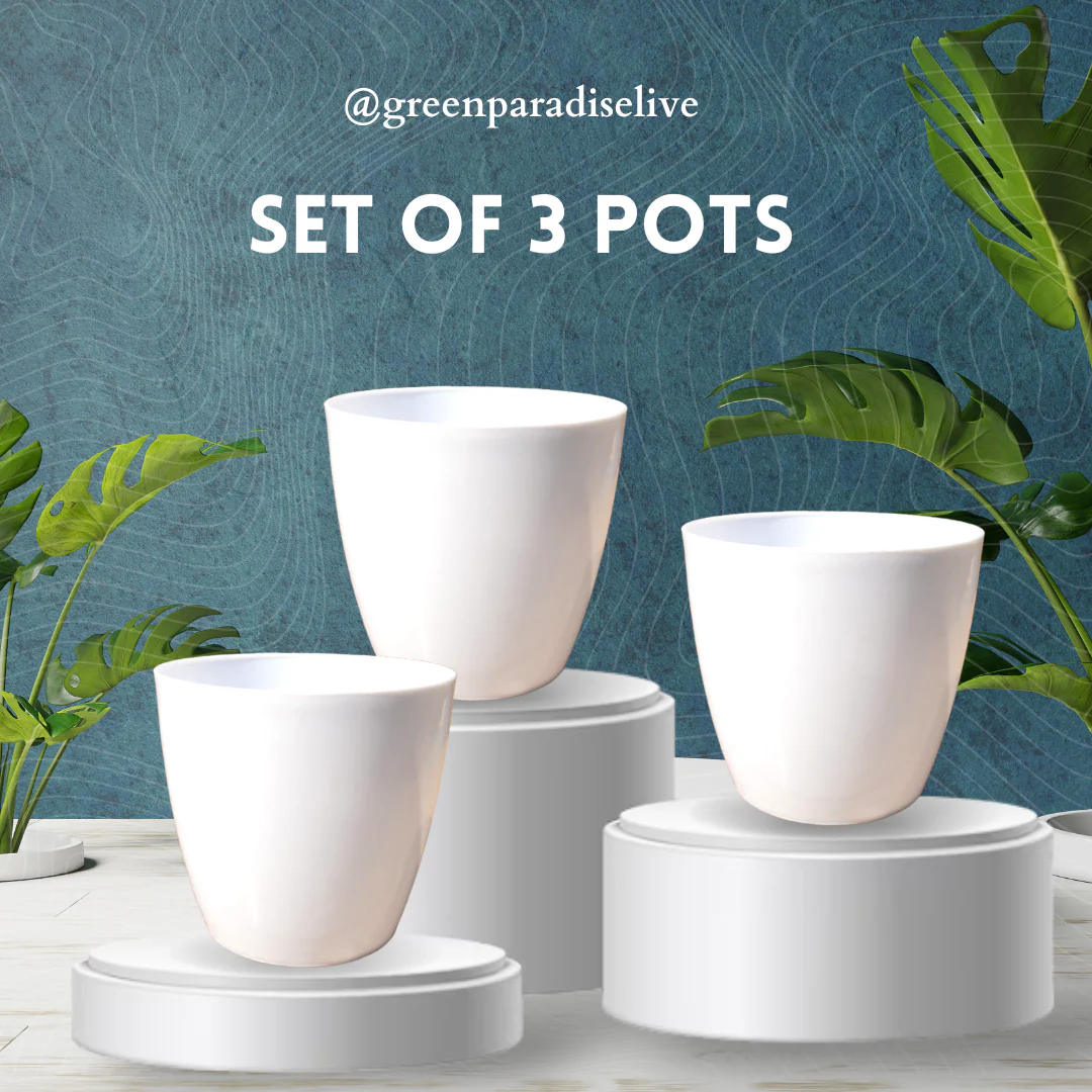 Green Paradise® Premium Glossy Plastic Pots ( set of 3 ) - Image 4