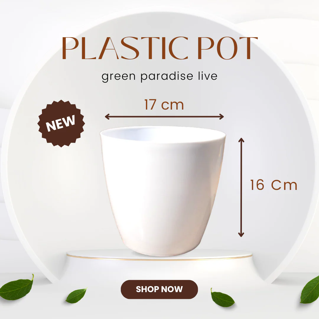 Green Paradise® Premium Glossy Plastic Pots ( set of 3 ) - Image 5