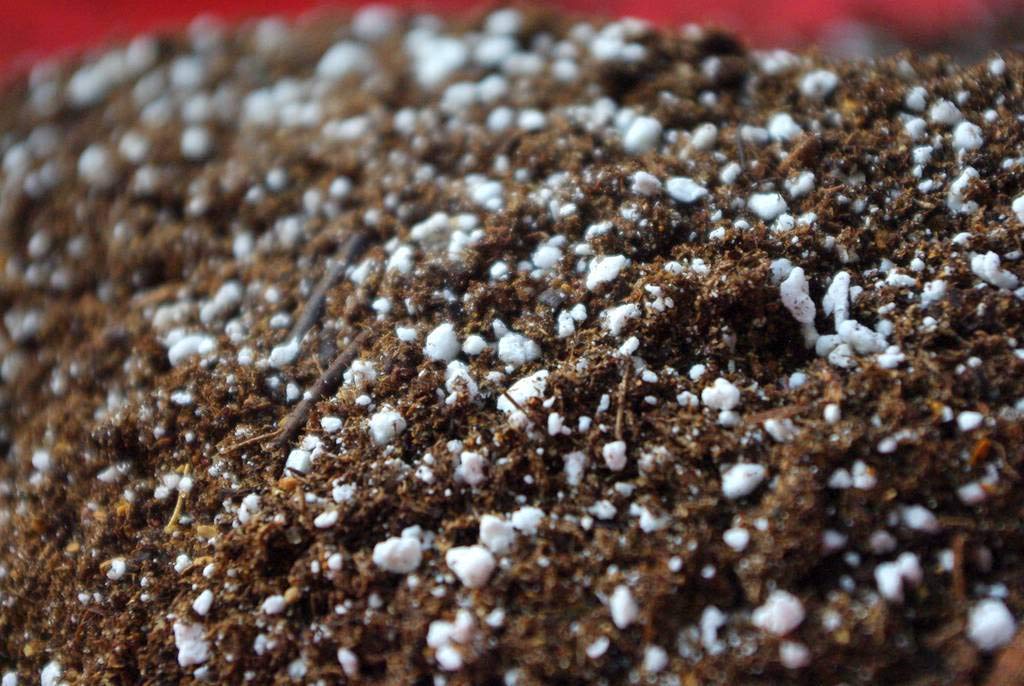 Ready To Use Soil Mix Containing Coco Peat Perlite Vermiculite Expanded Clay Balls And Neem Powder Multi Purpose Soil Mix Suitable For All Plants 5 kg - Image 2