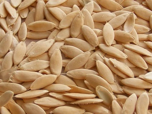 Green Paradise® Cucumber Seeds - Image 3