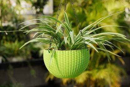 Flower Pot Hanging Basket with Hook Chain for Home Garden Office Balcony Grower Planter-Size 6 Inch - Image 4