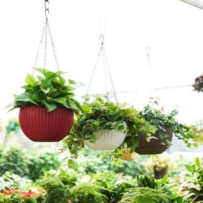 Flower Pot Hanging Basket with Hook Chain for Home Garden Office Balcony Grower Planter-Size 6 Inch - Image 5