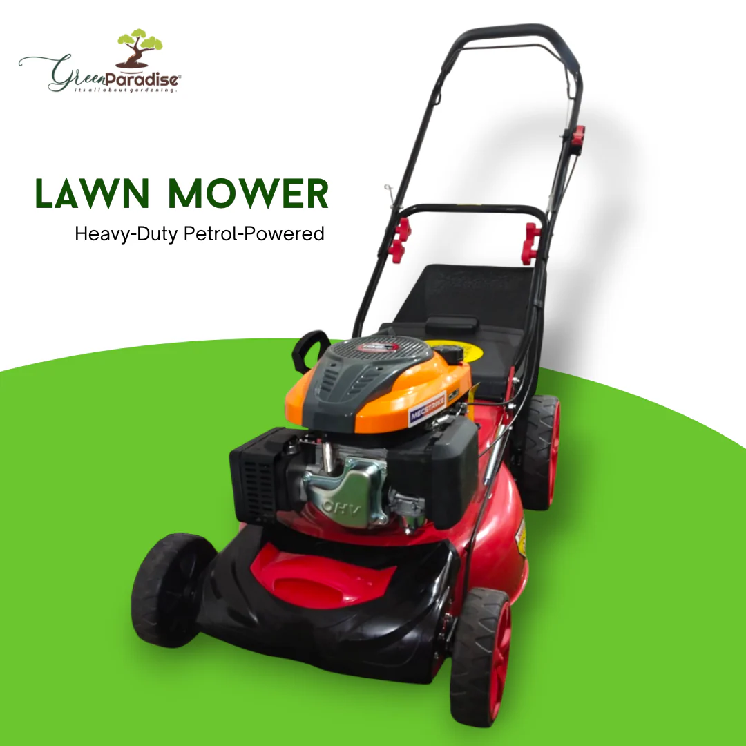 Green Paradise® 4-Stroke 196cc Heavy-Duty Push Type Lawn Mower 20 - Image 4
