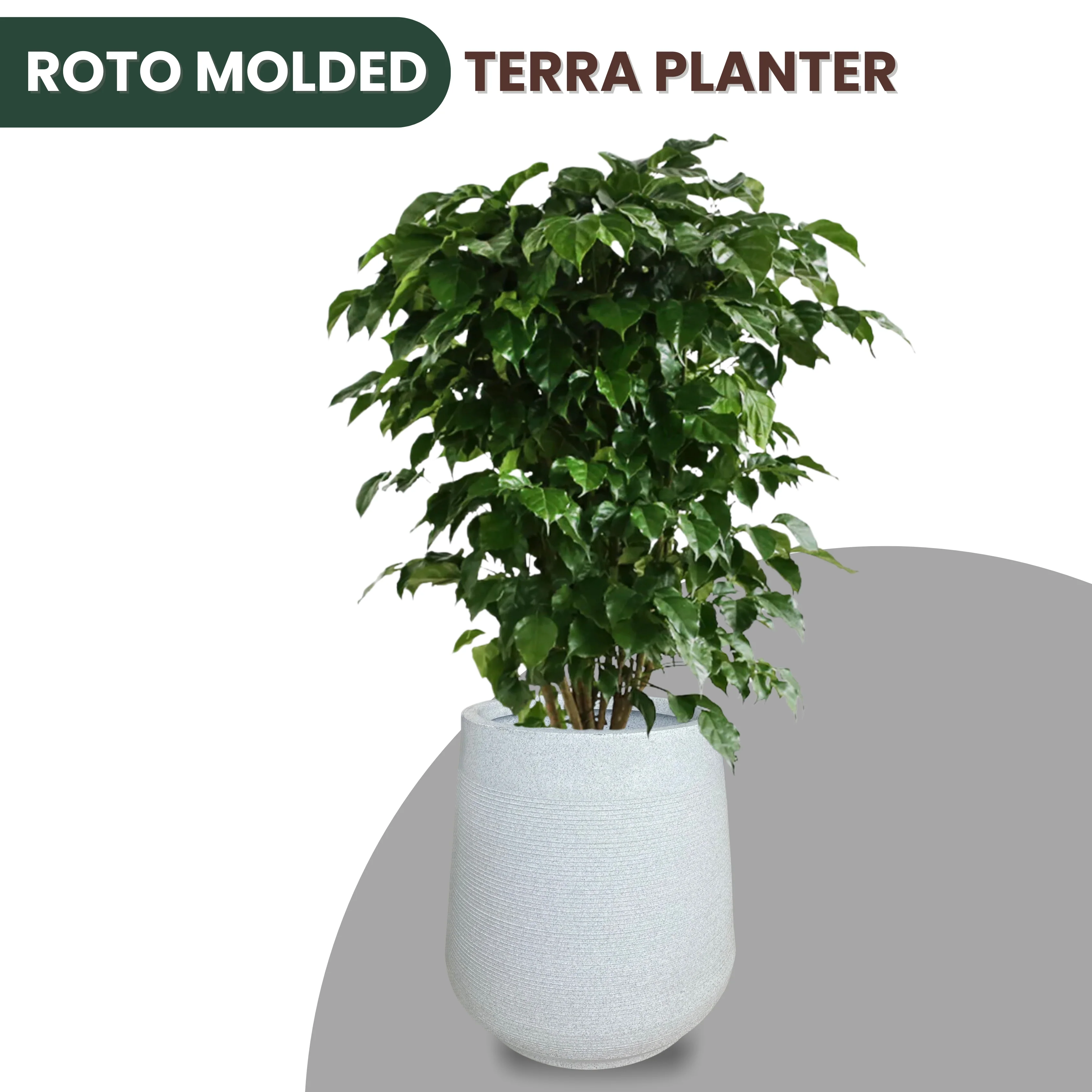 Green Paradise® Terra Rotomolded Planter – Unbreakable, Lightweight Pot with Marble Finish (Indoor & Outdoor Use) - Image 4