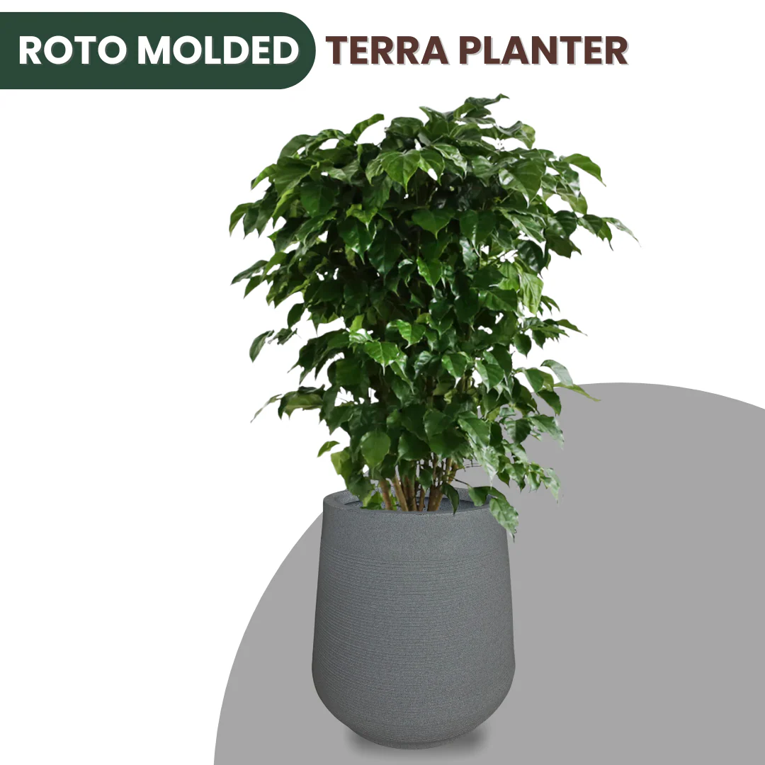 Green Paradise® Terra Rotomolded Planter – Unbreakable, Lightweight Pot with Marble Finish (Indoor & Outdoor Use) - Image 5