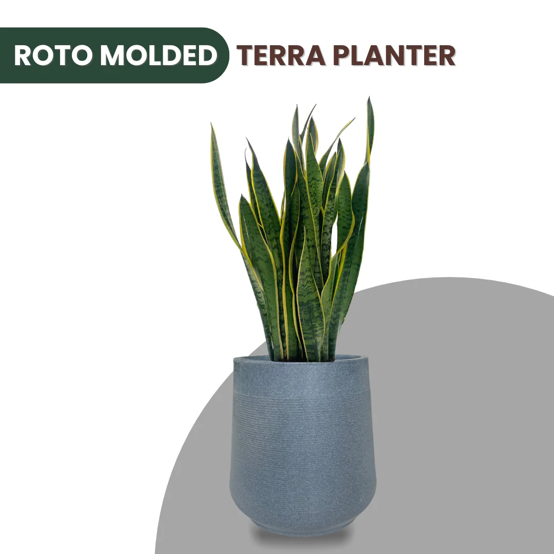 Green Paradise® Terra Rotomolded Planter – Unbreakable, Lightweight Pot with Marble Finish (Indoor & Outdoor Use) - Image 6