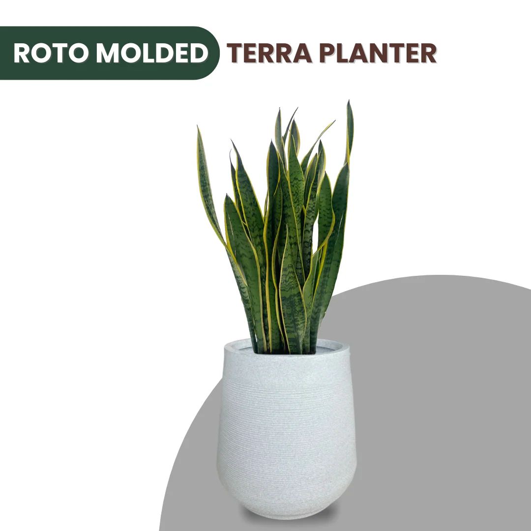 Green Paradise® Terra Rotomolded Planter – Unbreakable, Lightweight Pot with Marble Finish (Indoor & Outdoor Use) - Image 7