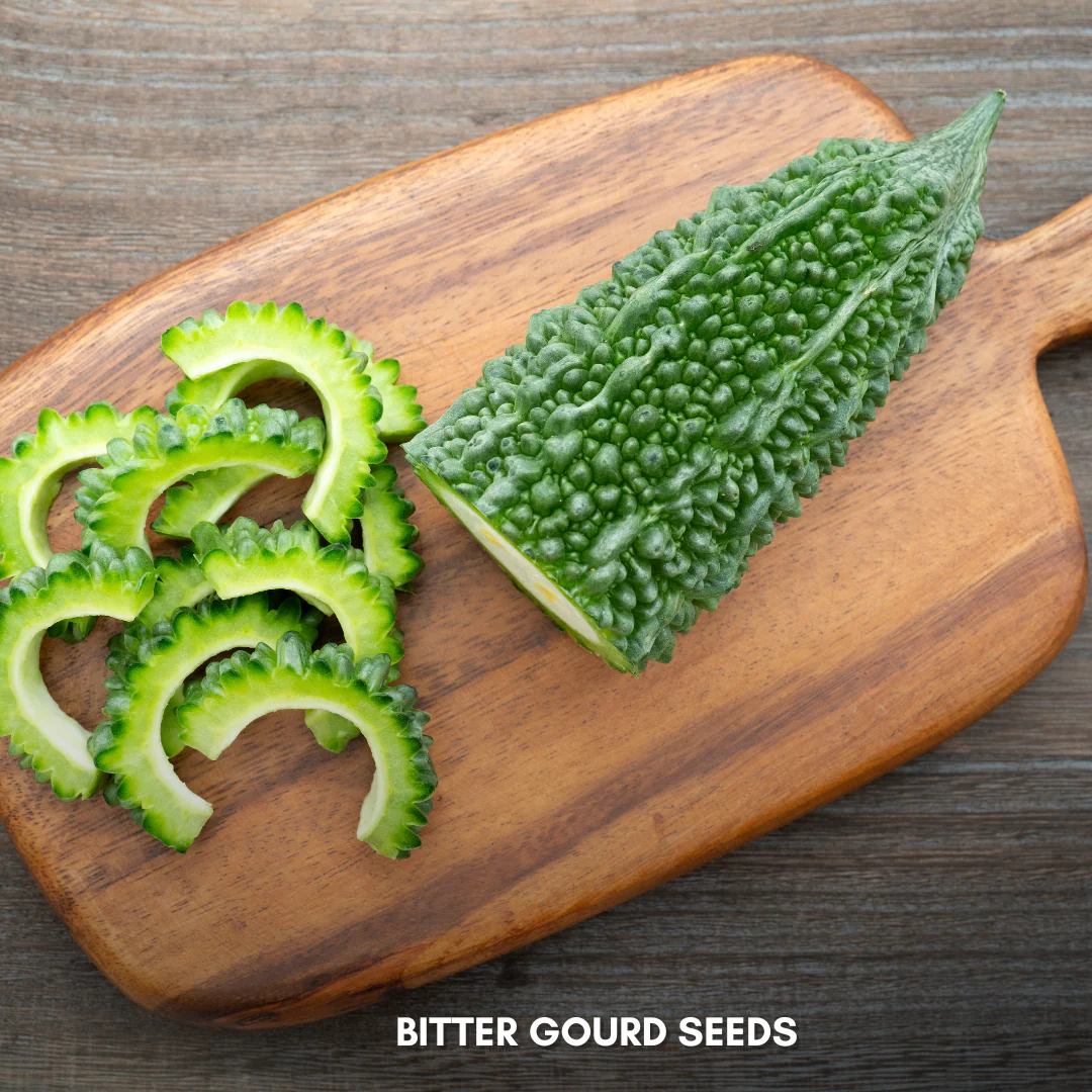 Green Paradise® Bitter Gourd F1 Hybrid Seeds Pack - Image 3