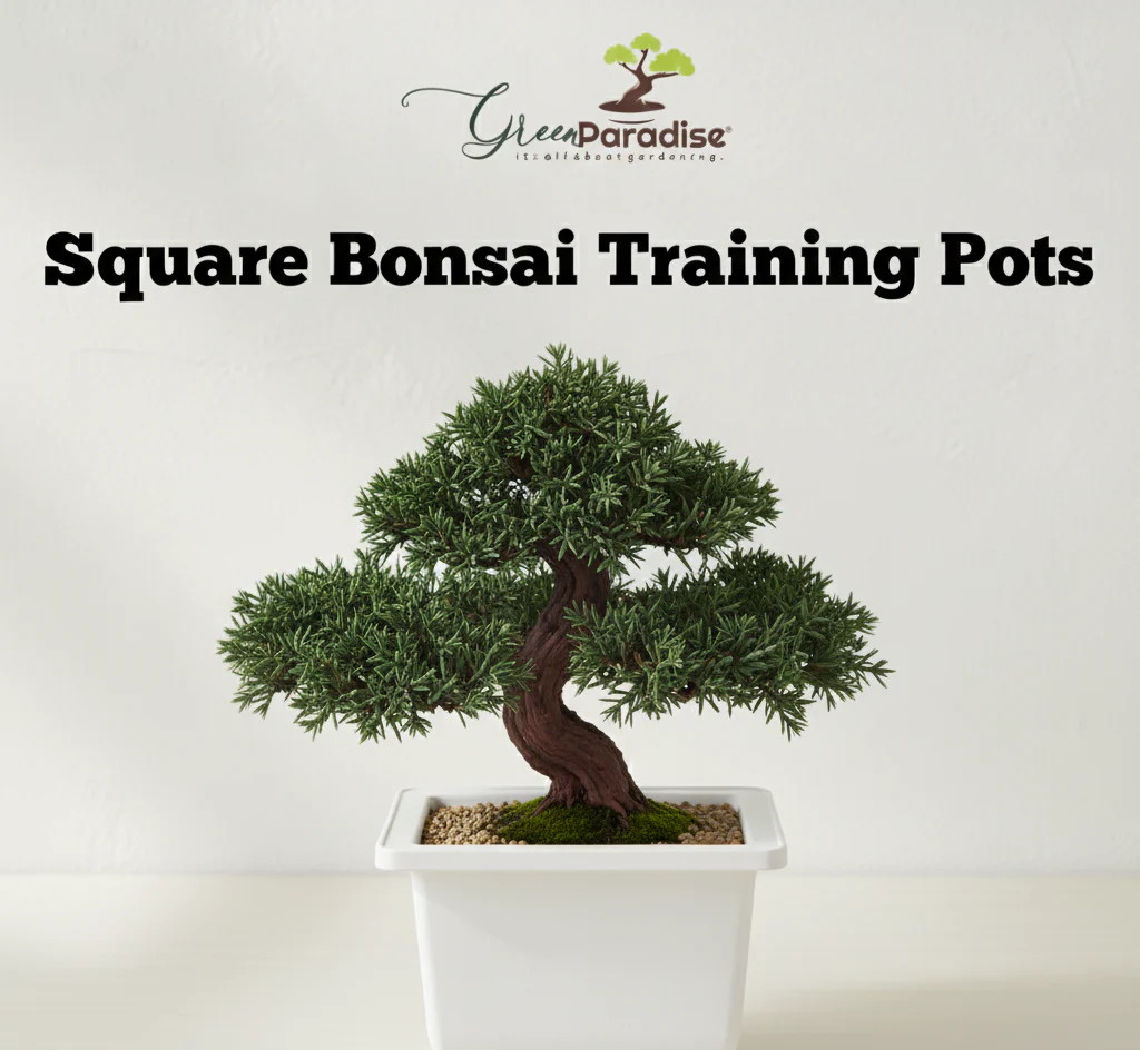 Green Paradise® Bonsai Pots Plastic Bonsai Training Pots (Square )(white ) - Image 3