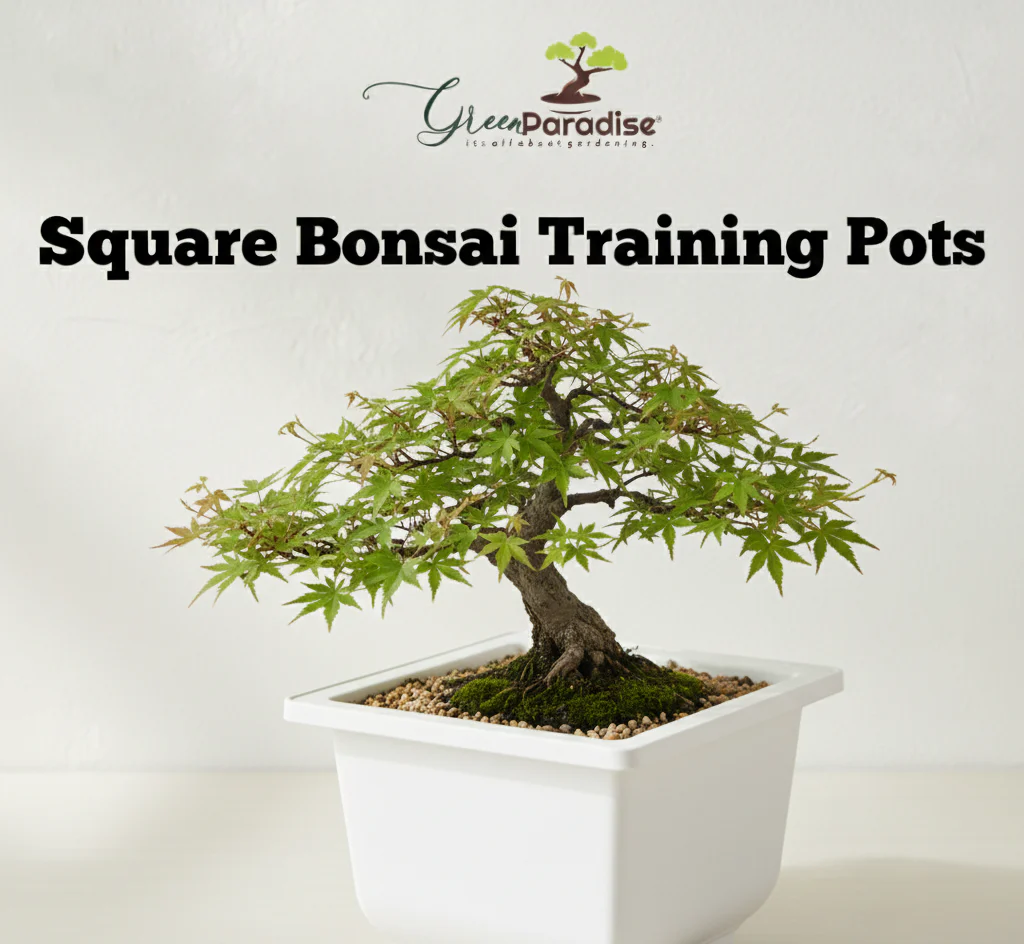 Green Paradise® Bonsai Pots Plastic Bonsai Training Pots (Square )(white ) - Image 4